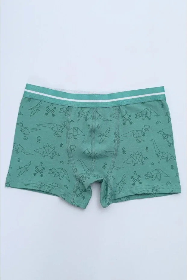 Детские боксеры для мальчиков хлопковые с принтом Toontoy, Green-Oil Blue-Blue-Gray — фото 4
