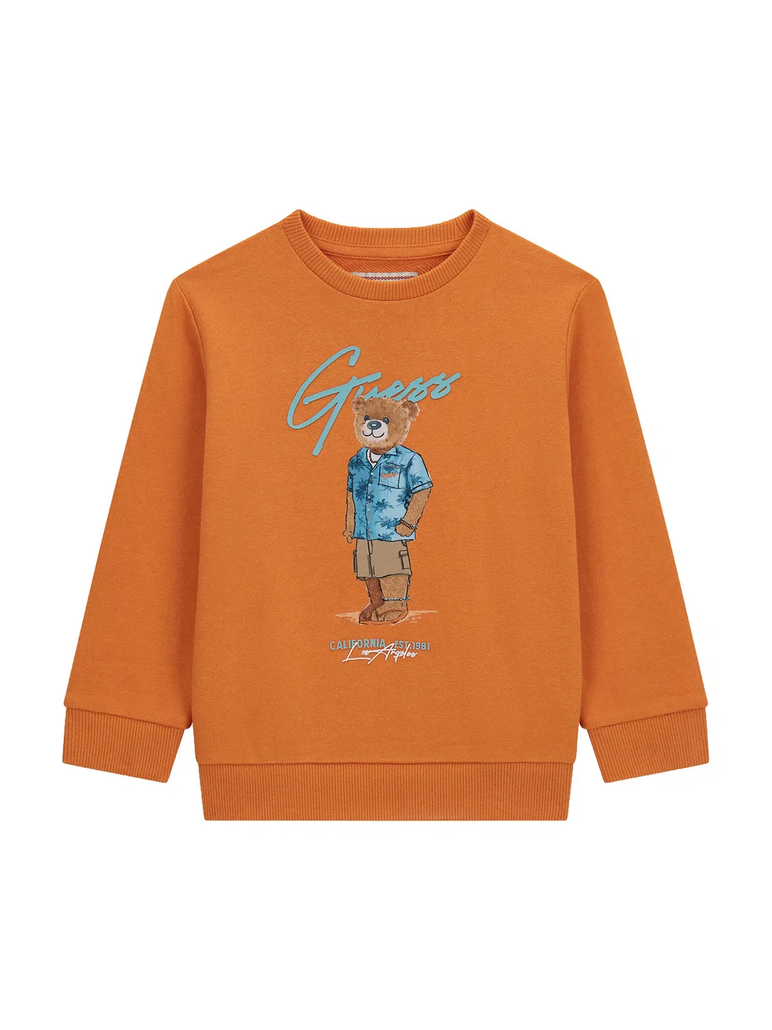Толстовка стандартного кроя для мальчика Guess, оранжевый