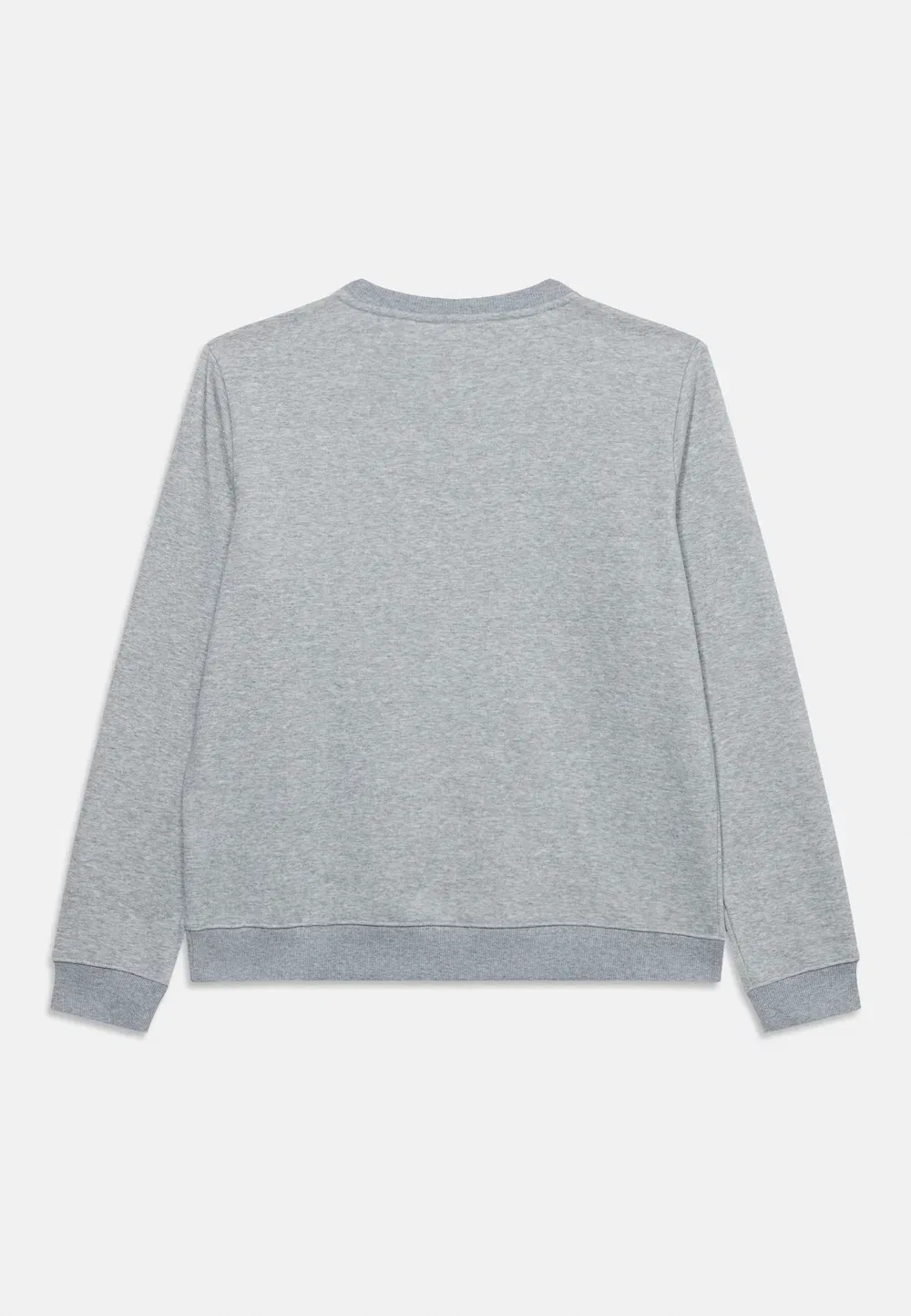 Толстовка унисекс для основного состава команды Lacoste, Argent Chine Heather — фото 2