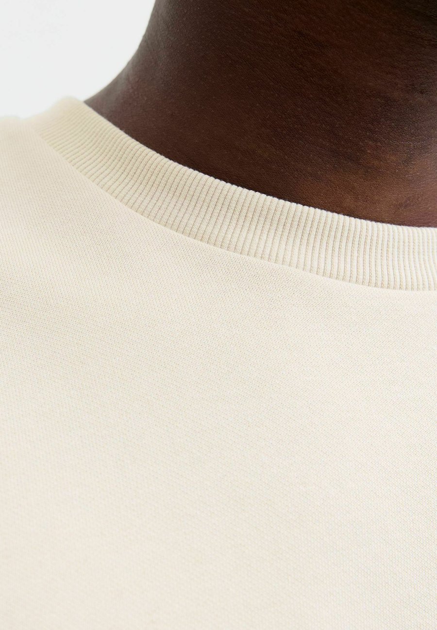 

Толстовка Jack & Jones PLUS SIZE GEDRUCKT, Moonbeam/Off-White