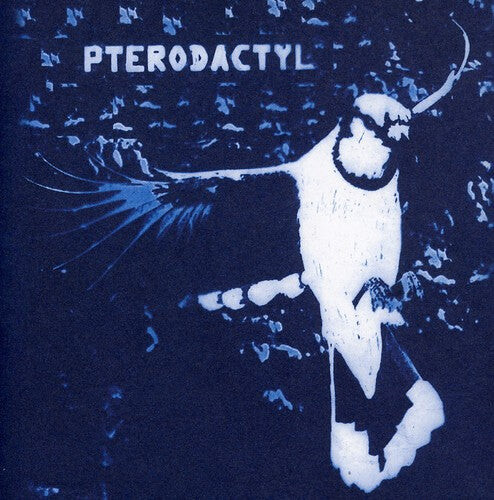 

CD диск Pterodactyl: Pterodactyl