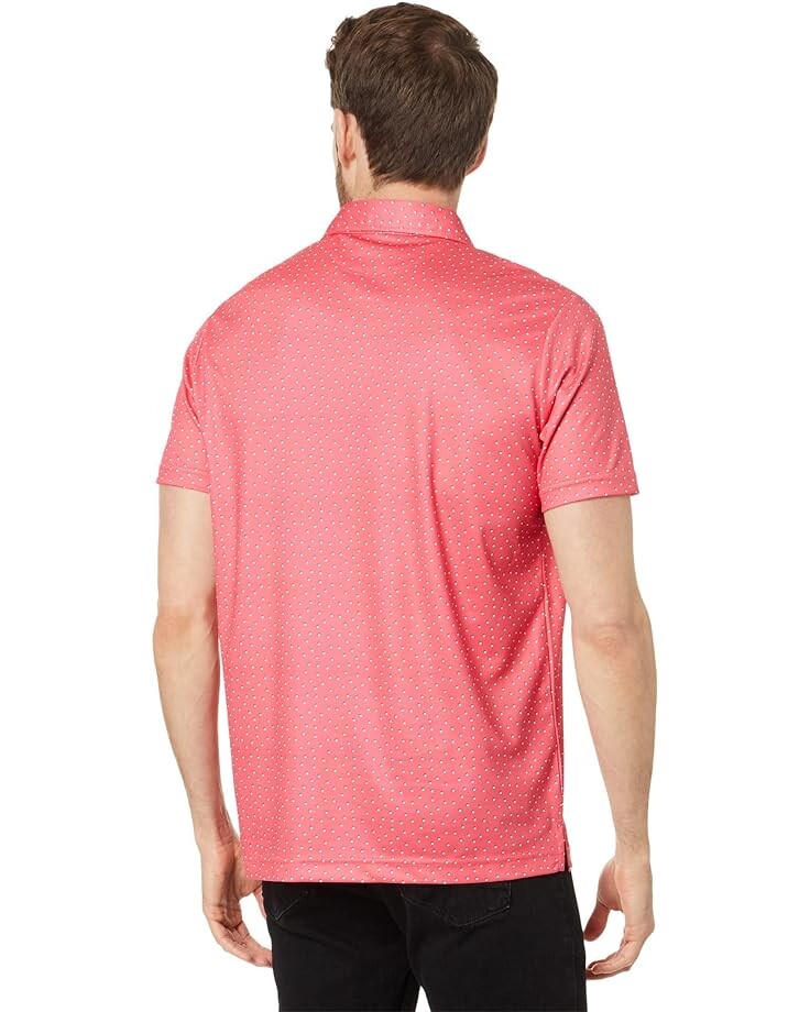 

Поло U.S. POLO ASSN. Shadow Dot Polo Shirt, цвет Rouge Red