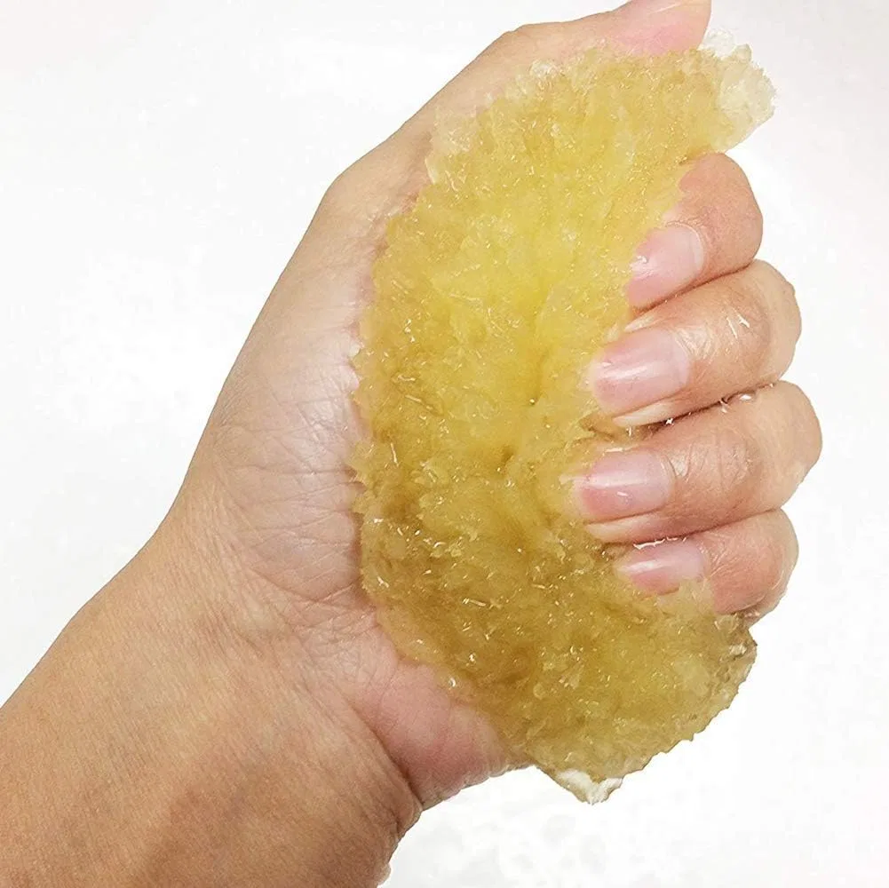 Спонж для лица из морской губки Wistom, 1 шт, желтый — фото 3