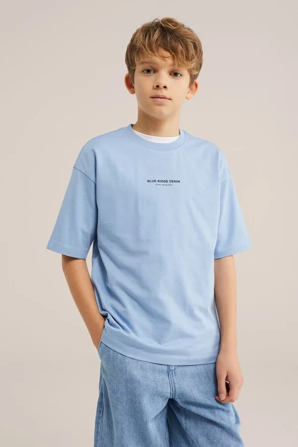 Футболка с принтом «голубой хребет» We Fashion, Light Blue