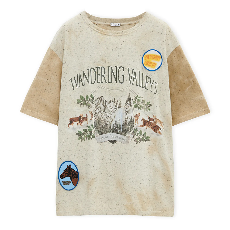 

Футболка свободного кроя Loewe, oat