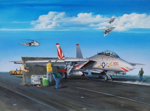 

Комплект модели Grumman F14A Tomcat