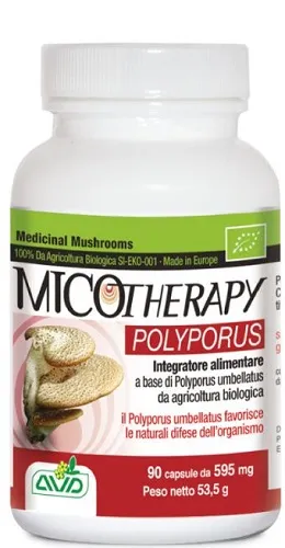 

Микотерапия Polyporus Добавка 90 капсул Micotherapy