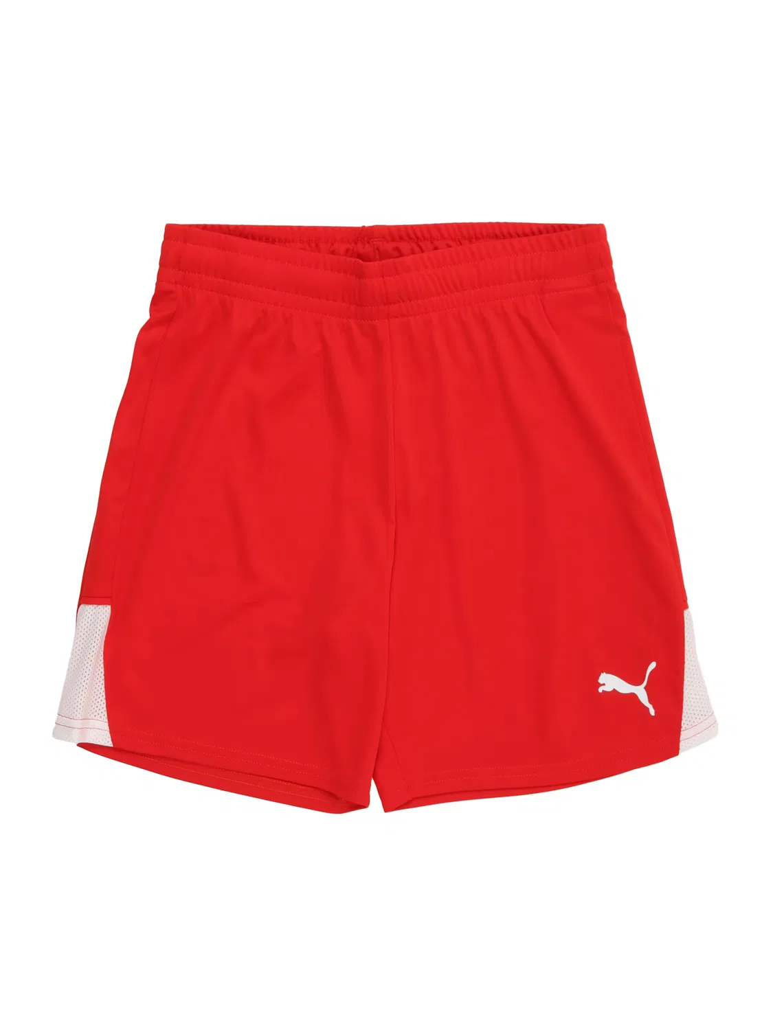 Обычные спортивные штаны 'TeamLIGA26' Puma, Red