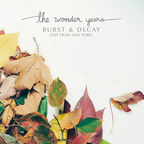 

Виниловая пластинка Wonder Years: Burst & Decay: Live From New York