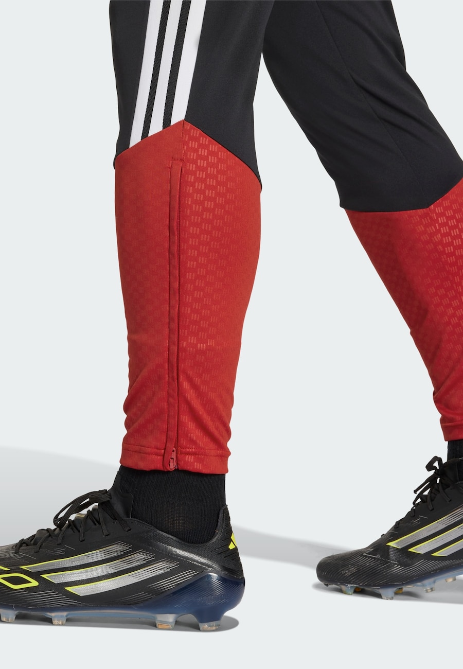 Обычные спортивные штаны ADIDAS PERFORMANCE Deutschland 26 Tiro, черный — фото 4
