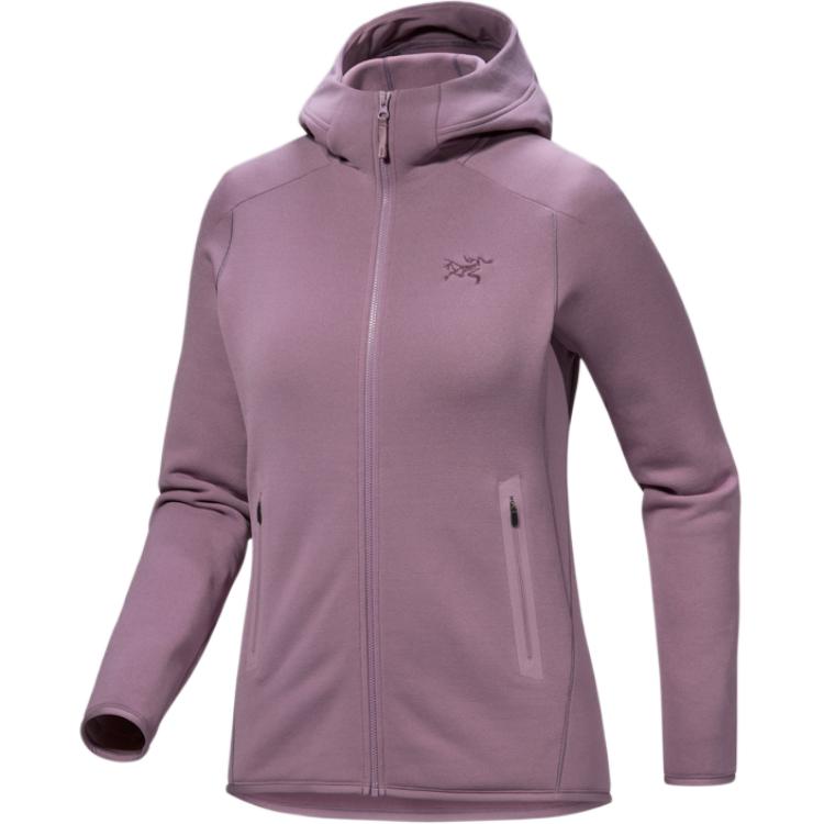 

Arcteryx Толстовка с капюшоном из флиса, Interstellar Purple