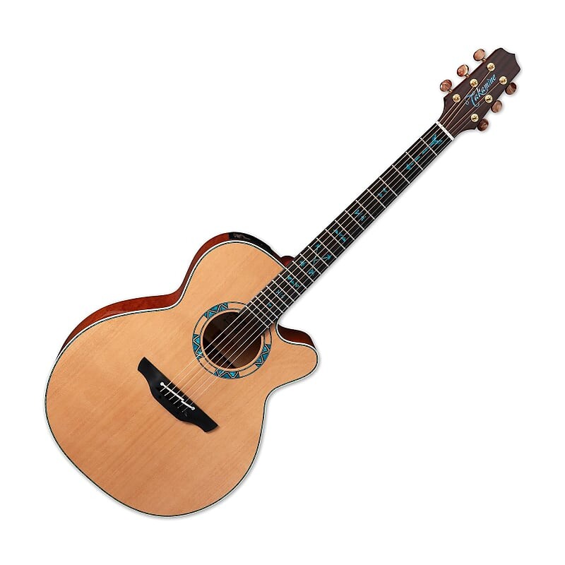 

Акустическая гитара Takamine LTD 2023 Acoustic Electric Guitar w/Semi-Hard Case