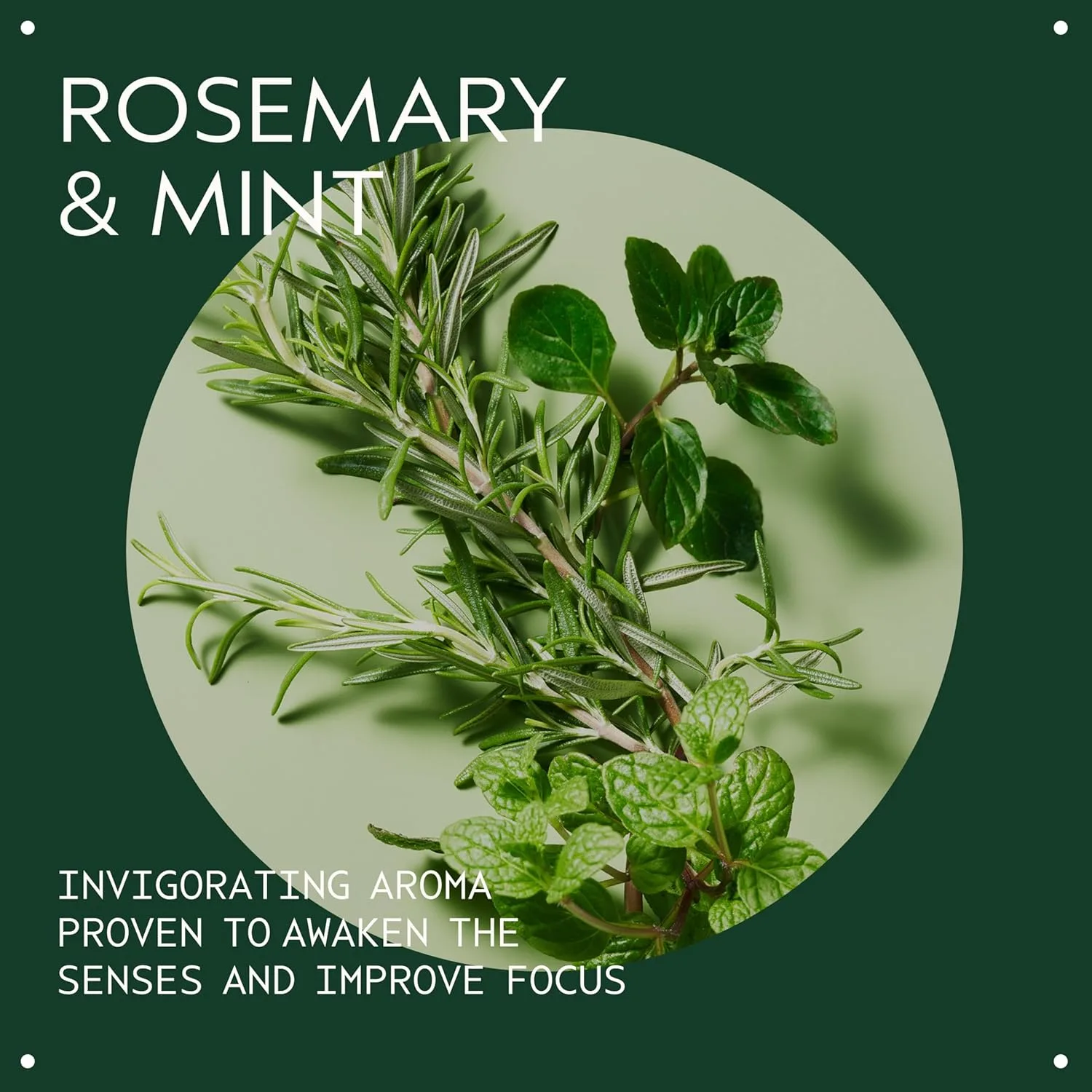 Кондиционер Aveda Rosemary Mint Weightless для нормальных и жирных волос, тонких и средних, 97% натуральных ингредиентов — фото 4