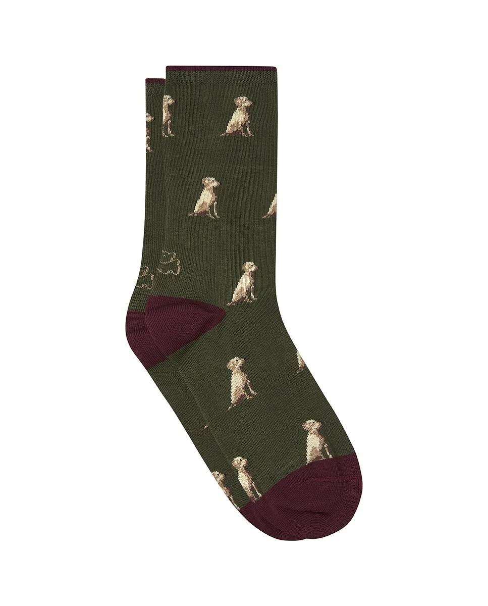 

Женские обычные носки Kiff-Kiff, темно-зеленый