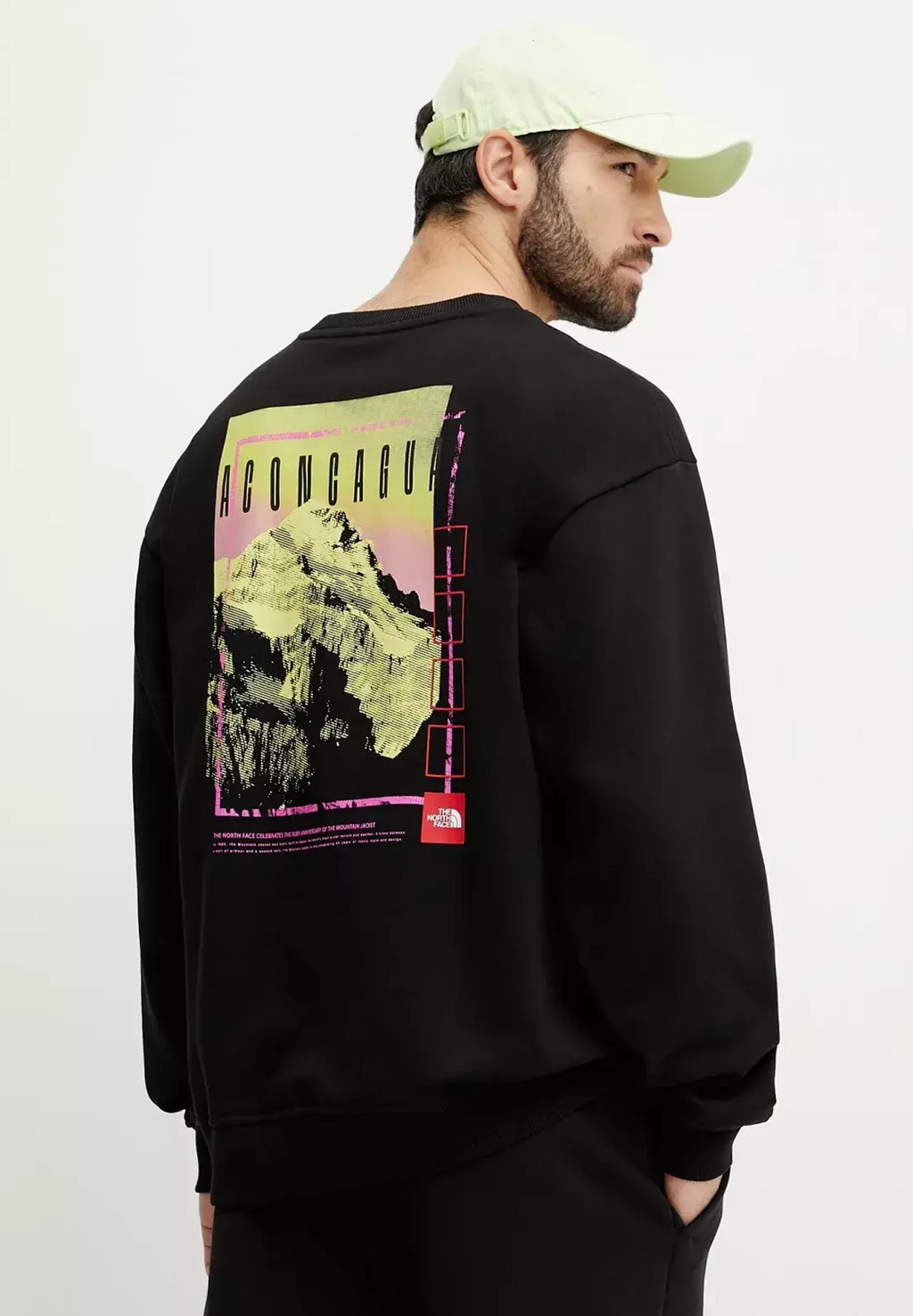 

Толстовка UNISEX AXYS CREW The North Face, черный