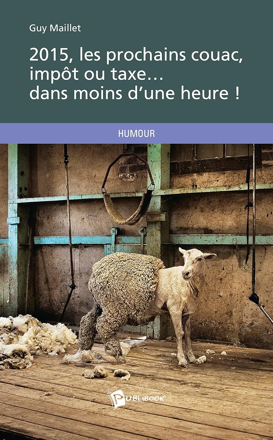

2015, les prochains couac, impôt ou taxe . . . dans moins d'une heure! (French Edition) (Publibook)