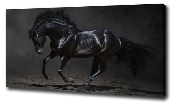 

Фреска Tulup Schwarzes Pferd, черный