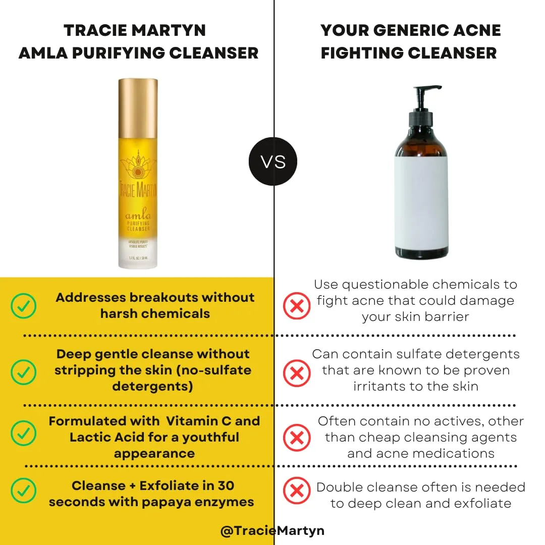 Очищающее средство для лица Tracie Martyn Amla Purifying Cleanser, 1,7 жидких унций 1 штука (1 шт.), As shown Picture — фото 3