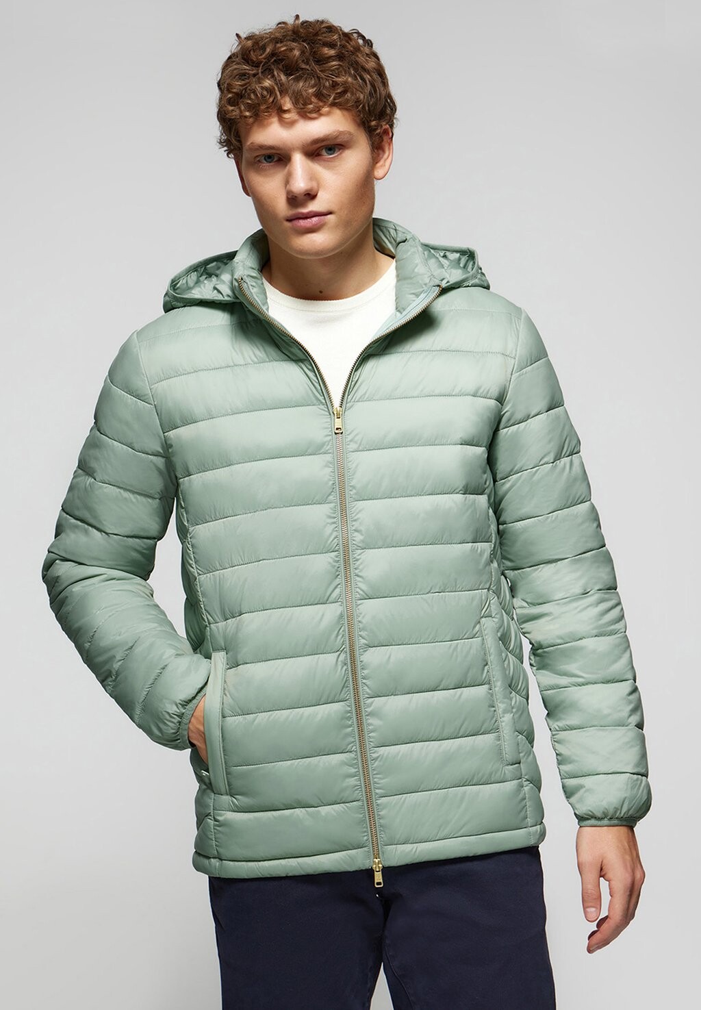 

Зимняя куртка HOODED CHARLES Polo Club, зеленый