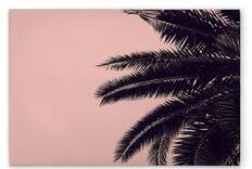 

Картина на холсте A.S. Création Palm Tree цвет rosaschwarz