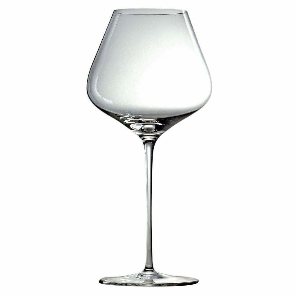 

Stölzle Lausitz Q1 Burgundy Grand Cru 2 шт. 420 00 38