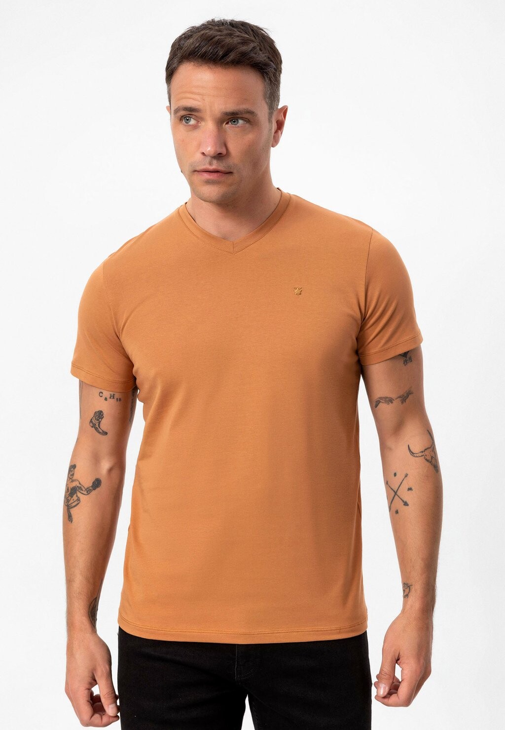 

Базовая футболка MITO V NECK COTTON REGULAR FIT anou anou, темно-синий