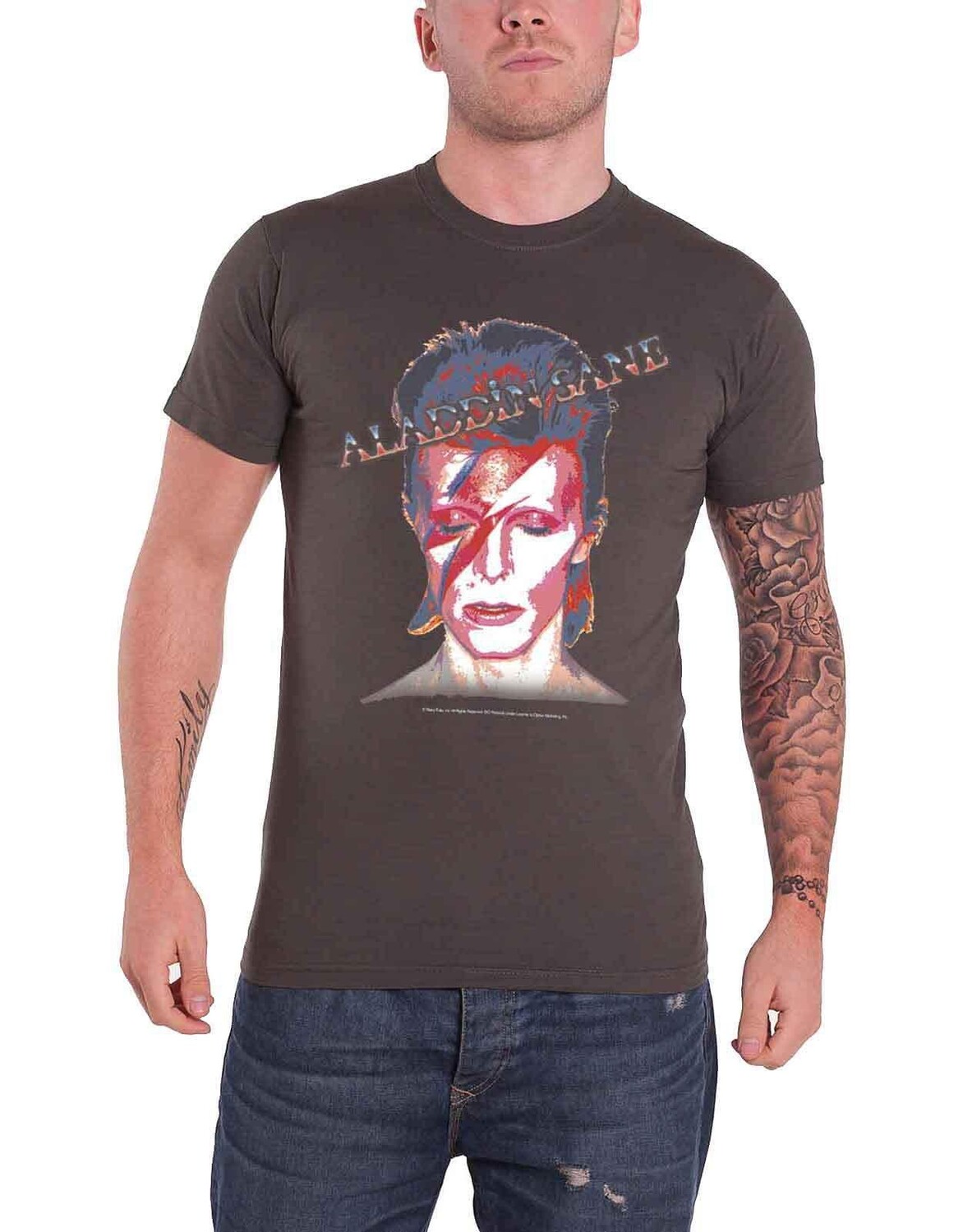 

Футболка Aladdin Sane Face David Bowie, серый