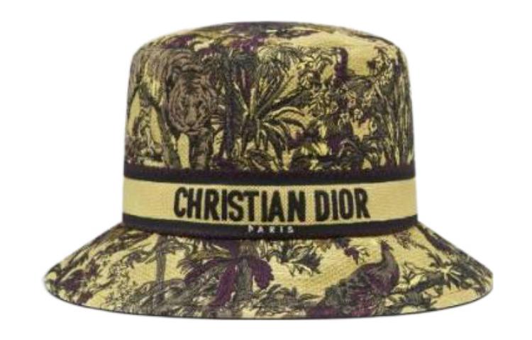 

DIOR Женская разноцветная панама, Multicolor