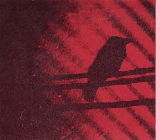 

Виниловая пластинка Silver Mt Zion - Born Into Trouble As The Sparks Fly Upward