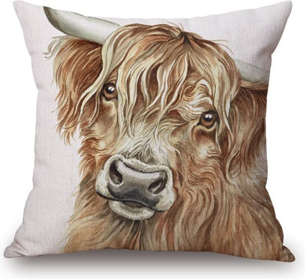 

Чехол на подушку Highland Cow 43х43 см Markenlos