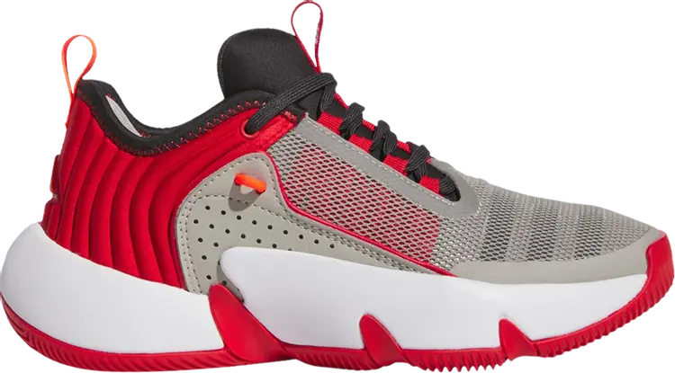 

Кроссовки Trae Unlimited Big Kid 'Metal Grey Better Scarlet', серый