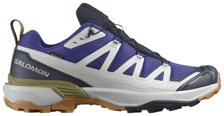 

Кроссовки Salomon X Ultra 360 Edge GORE-TEX, синий