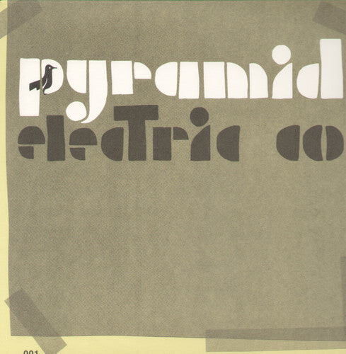 

Виниловая пластинка Molina, Jason - Pyramid Electric Co