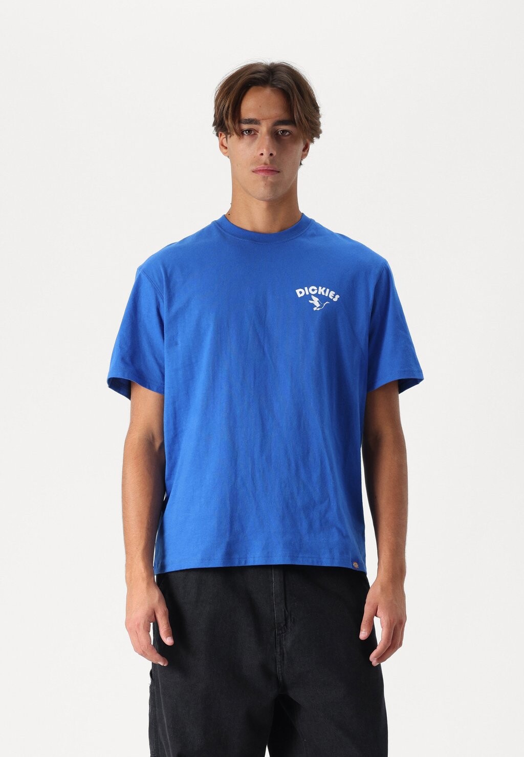 

Футболка с принтом GRAPHIC TEE Dickies, синий