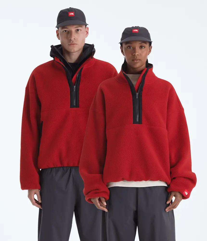 

Флисовая кофта TNF Red Box с застежкой-молнией на половину длины The North Face, Cardinal Red