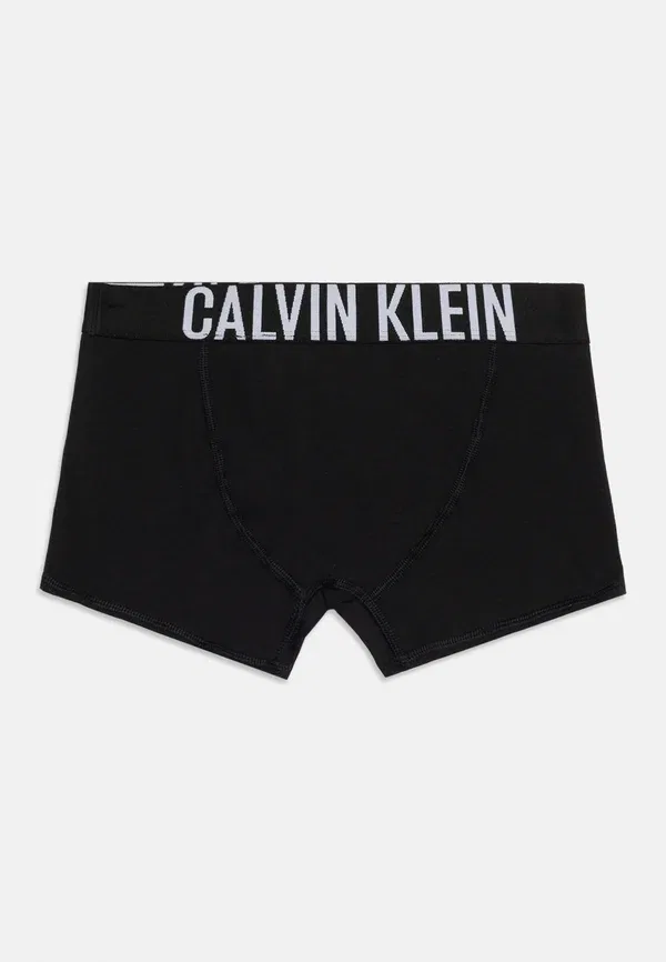 Трусы боксеры 2 шт Calvin Klein Underwear, черный — фото 2