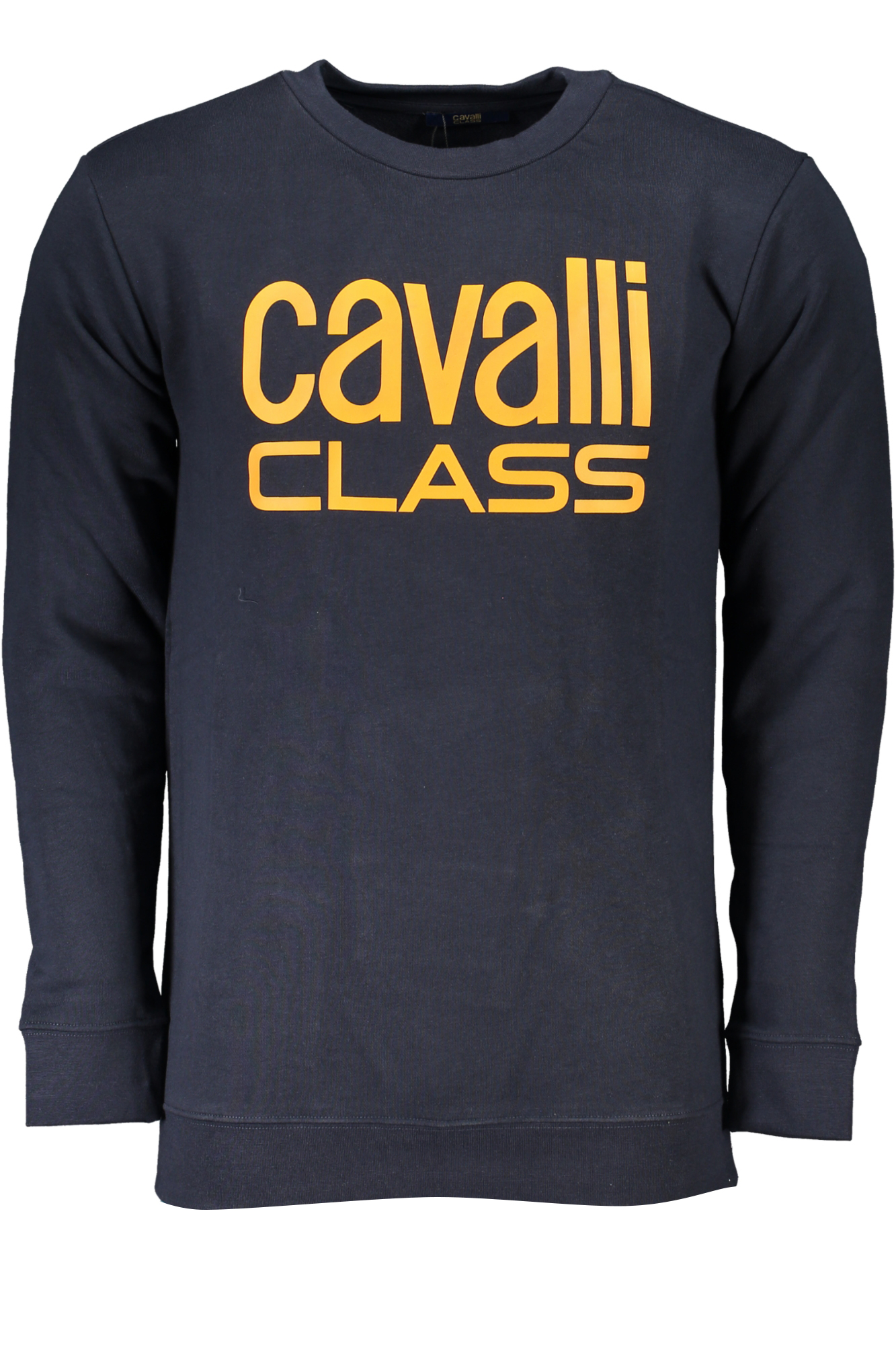 

Толстовка мужская Cavalli Class, синий / желтый