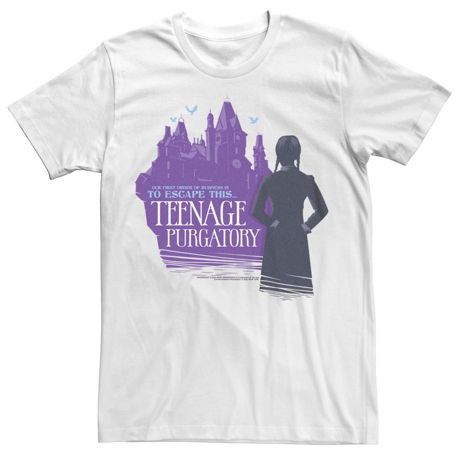 

Мужская футболка Wednesday Escape Teenage Purgatory Tee Licensed Character