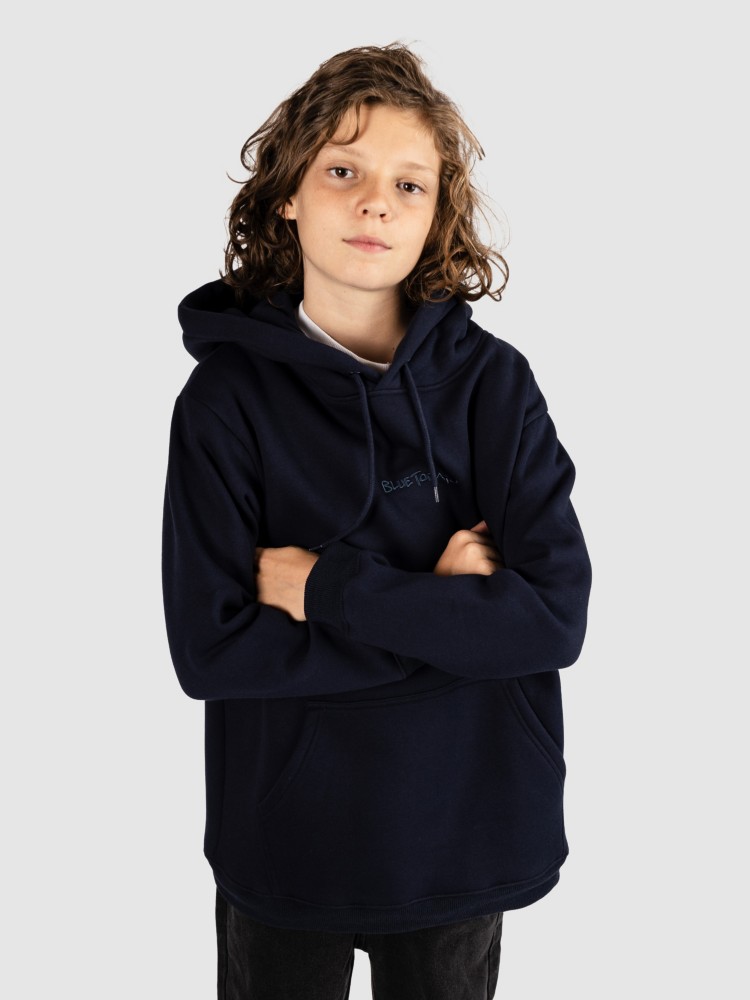 Толстовка Blue Tomato Mini Logo Kids Hoodie, woodland grey — фото 3