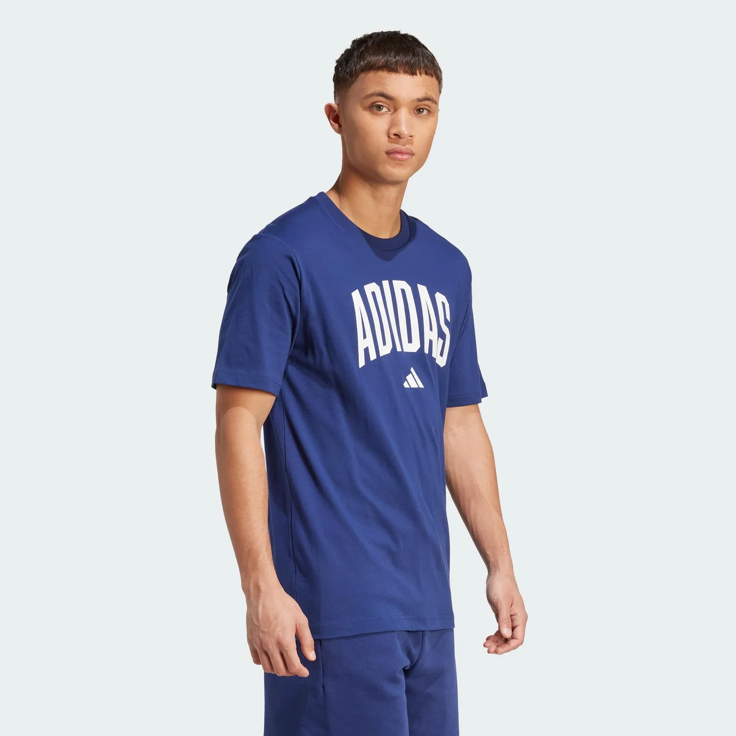 Мужская футболка с принтом Collegiate Lineage adidas, Dark Blue — фото 4