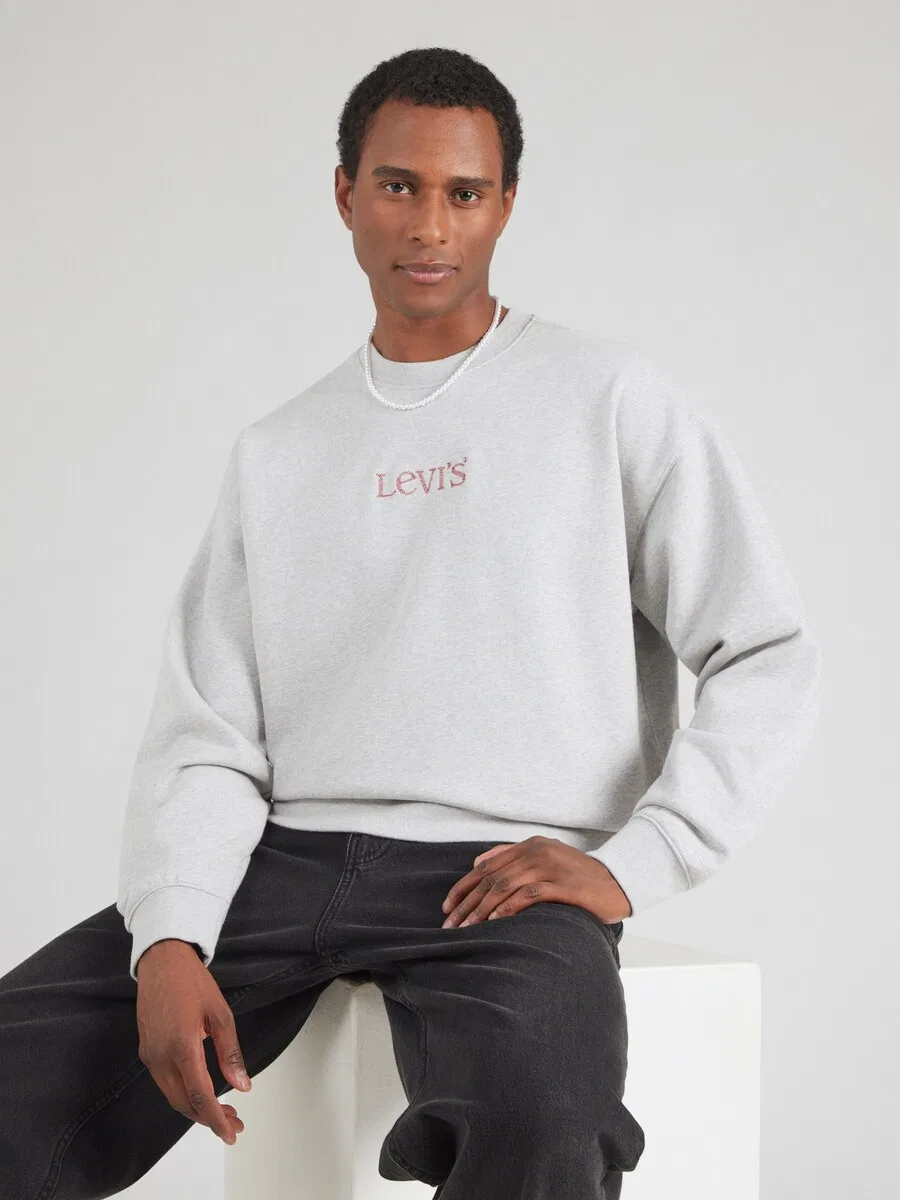 Толстовка LEVI'S 'SUNSET' светло-серого цвета — фото 3