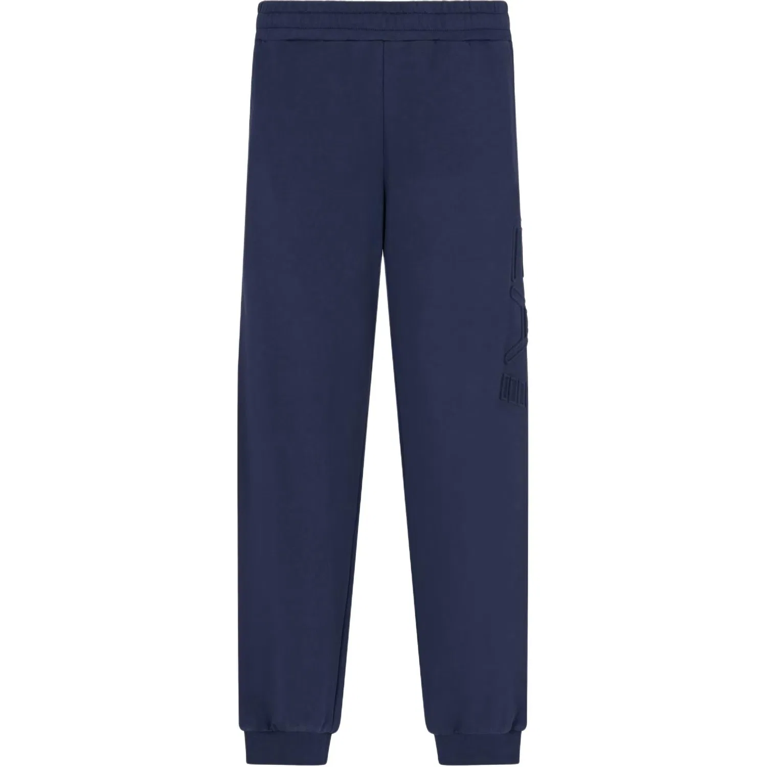 Трикотажные спортивные штаны, Navy Blue, EMPORIO ARMANI
