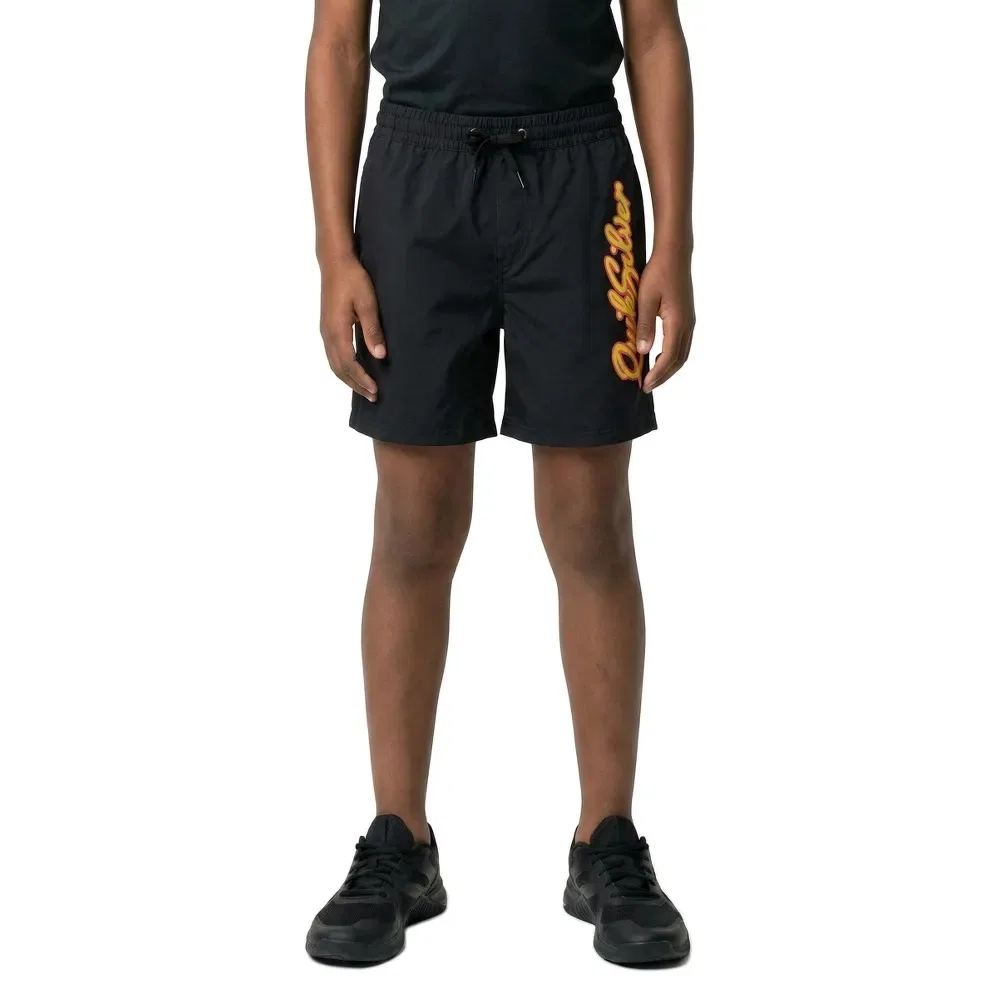 Шорты для плавания Everyday Malibu Volley 14'' Quiksilver, черный — фото 3