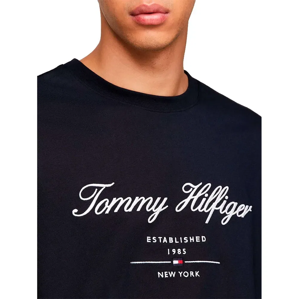 Мужская хлопковая футболка с коротким рукавом Script Logo Tommy hilfiger, Blue — фото 3