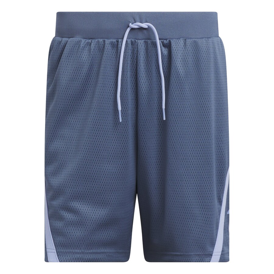 

Шорты ADIDAS PERFORMANCE Regular Workout Pants Select, пыльно-голубой