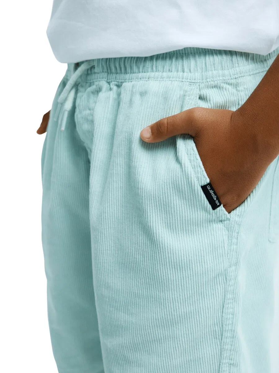 Шорты QUIKSILVER Regular Pants 'Taxer' светло-голубого цвета — фото 2