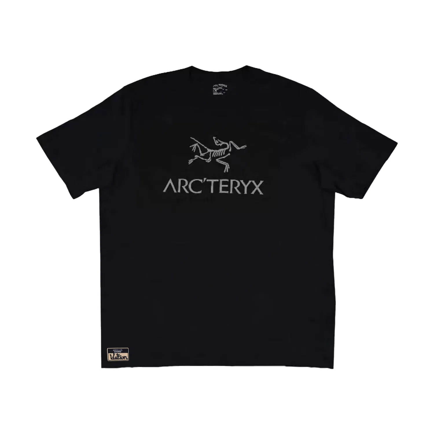 Футболка с круглым вырезом, прямая посадка, Arcteryx, Box — фото 3