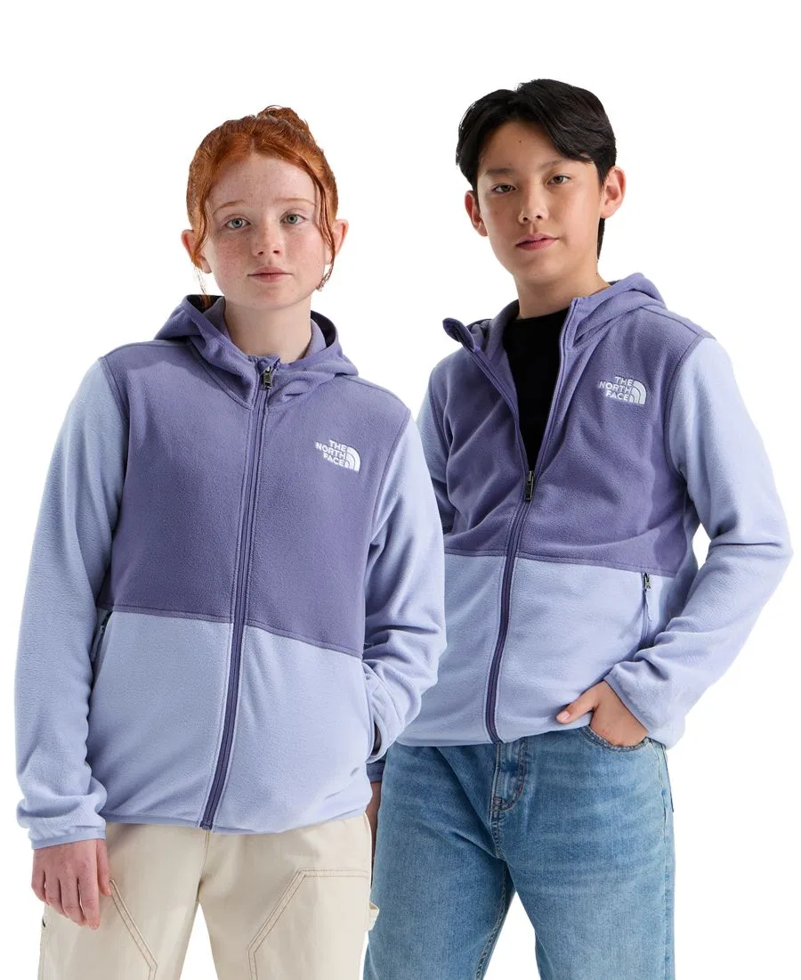 Куртка-худи с капюшоном, на молнии, с принтом The North Face, Grounded Plum Pale Plum