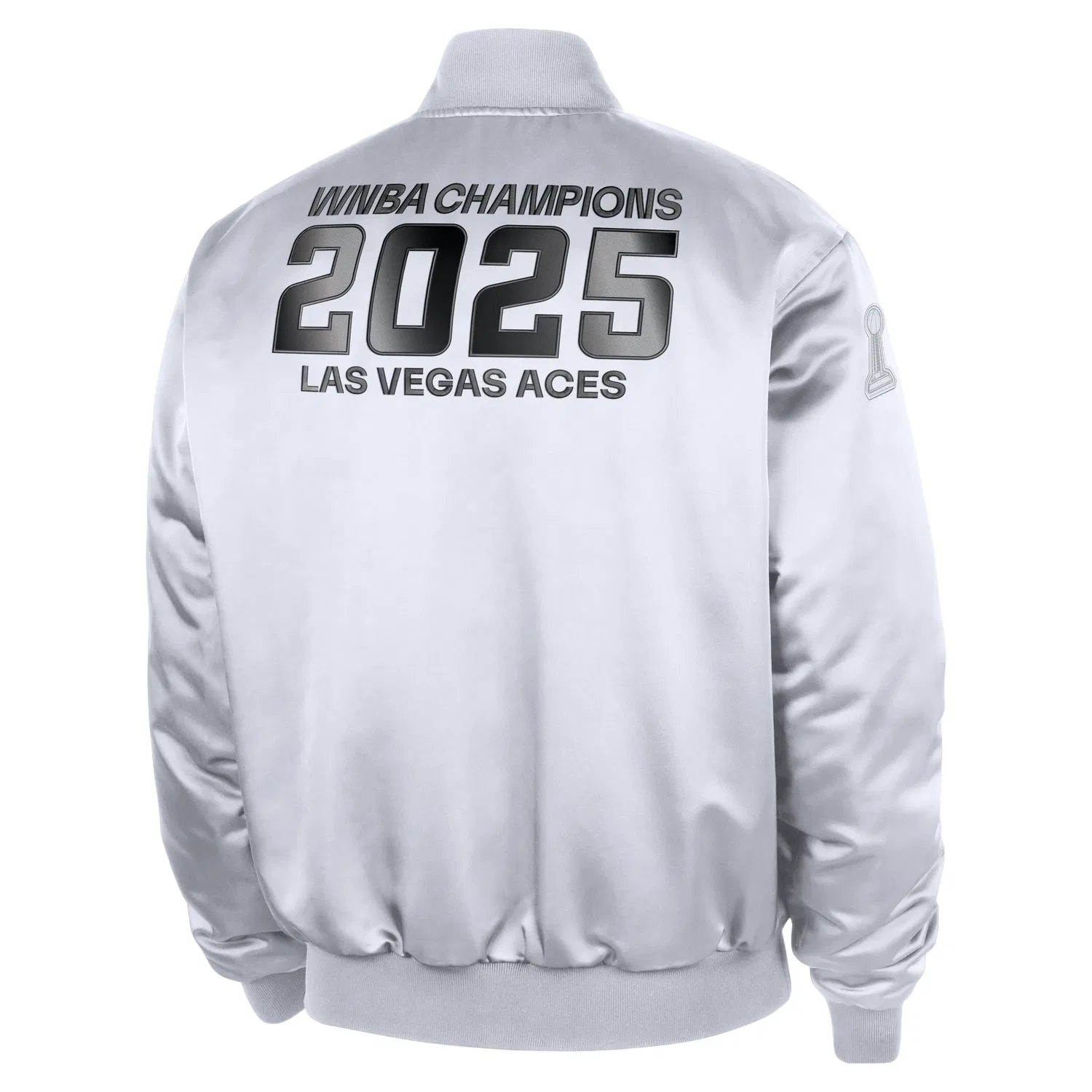Мужская куртка для баскетбола Las Vegas Aces WNBA Game Jacket 'White Metallic Silver' Nike, White/Metallic Silver — фото 3