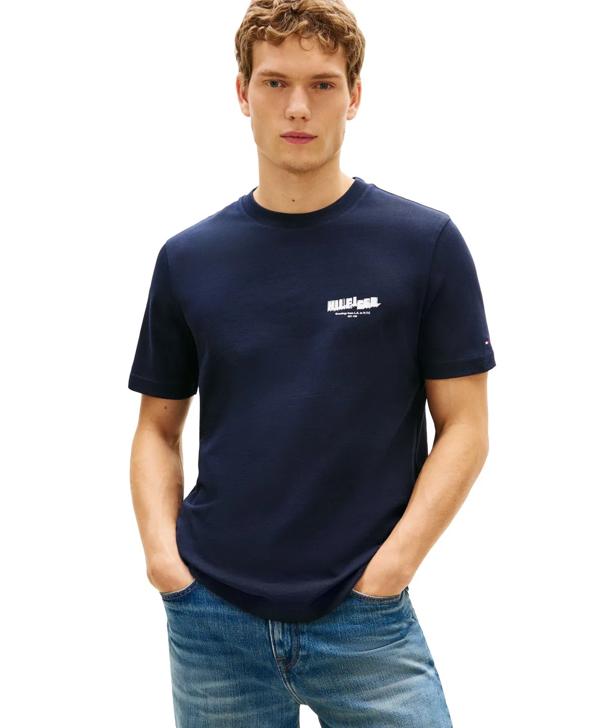Мужская футболка с фотопринтом TOMMY HILFIGER, Multi